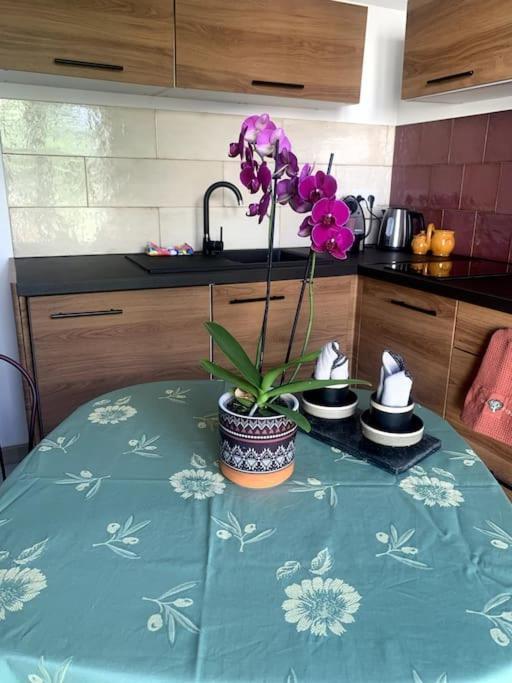 Maisonnette De Jardin Marseille Extérieur photo