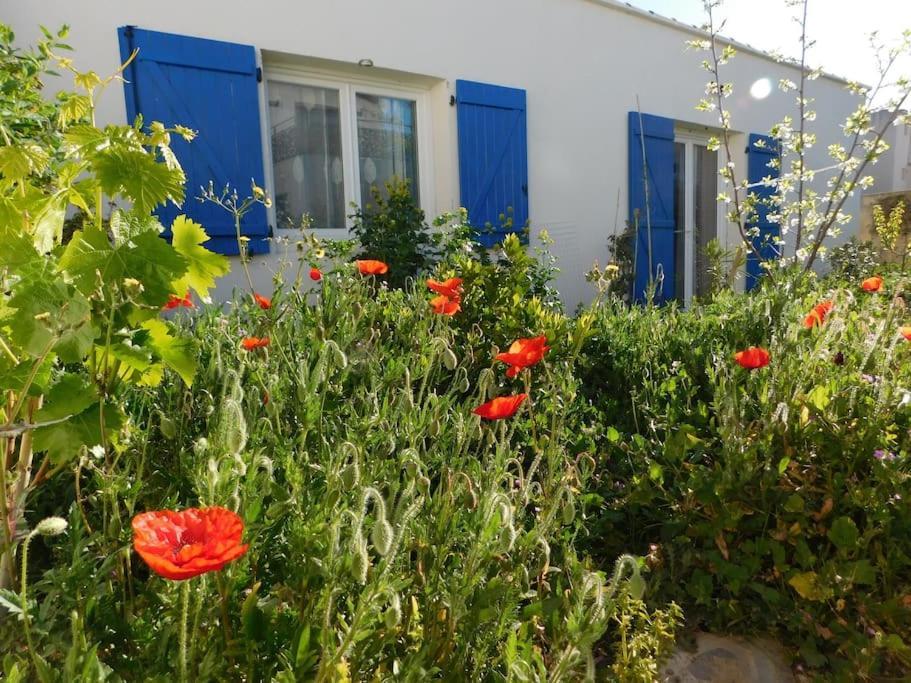 Maisonnette De Jardin Marseille Extérieur photo