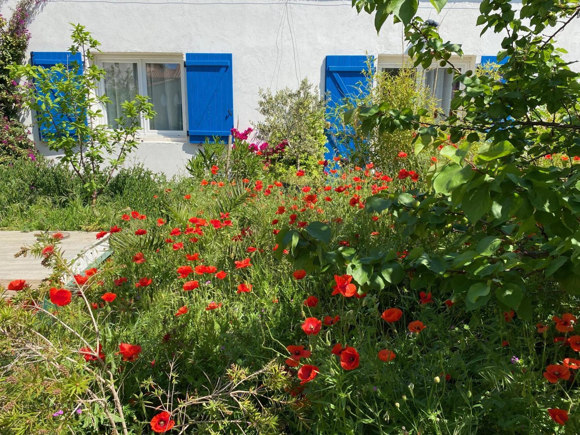 Maisonnette De Jardin Marseille Extérieur photo